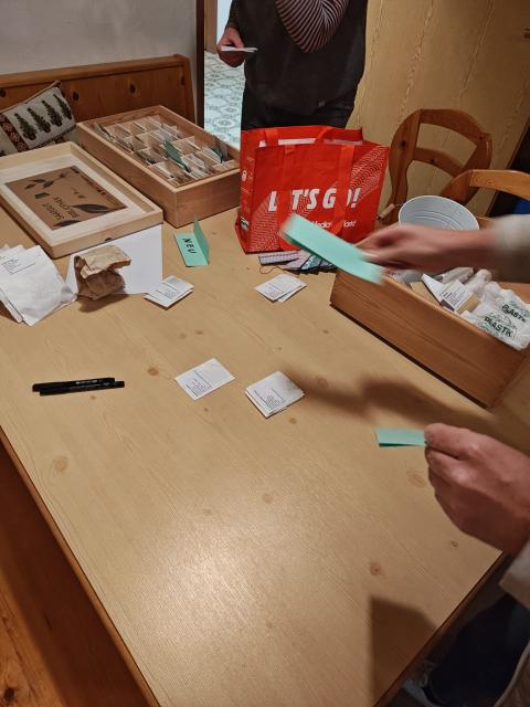 eine Hand hat kleine Samentütchen in der Hand