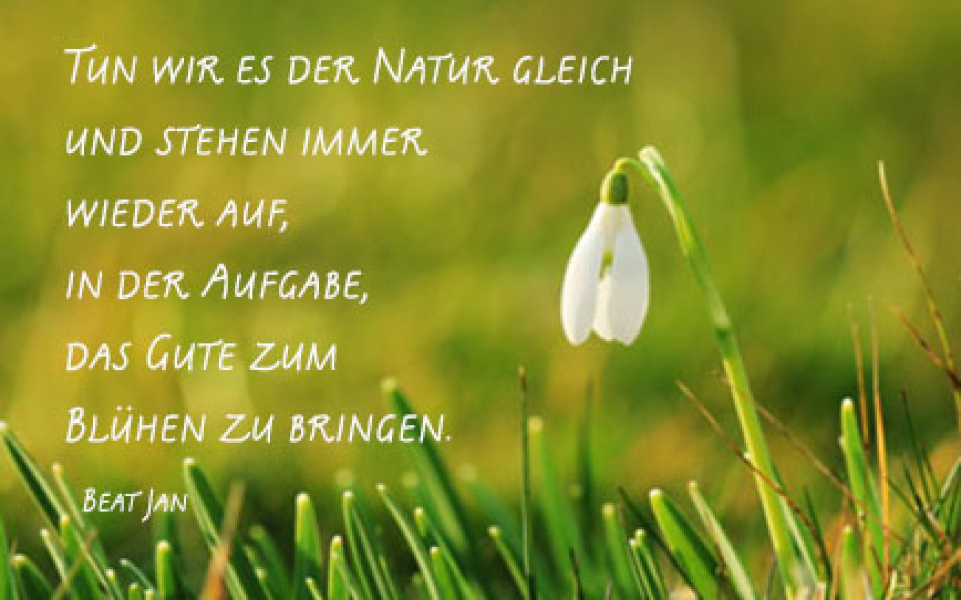 Natur